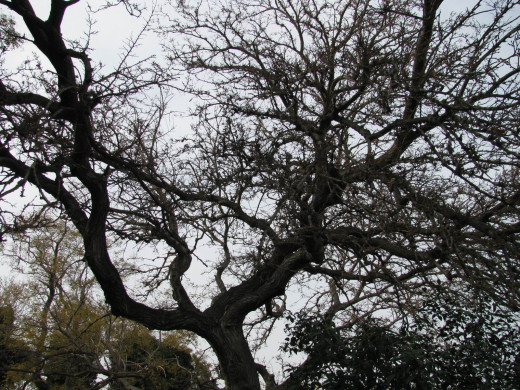 35901 (a): :1600x1200